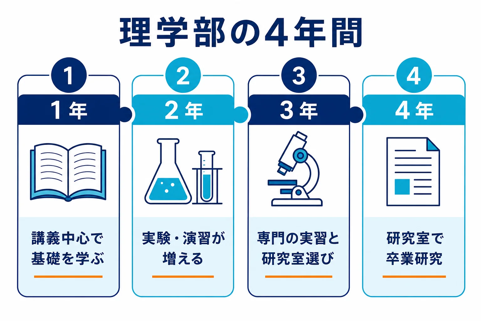 理学部の4年間を、講義中心から実験・演習、研究室配属、卒業研究へと移る時間軸で並べた図解