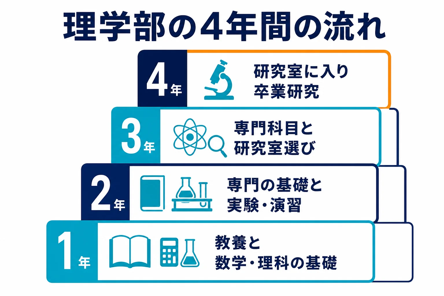 理学部の1年から4年までの流れを、基礎科目・専門と実験・研究室選び・卒業研究の4段で示した図解
