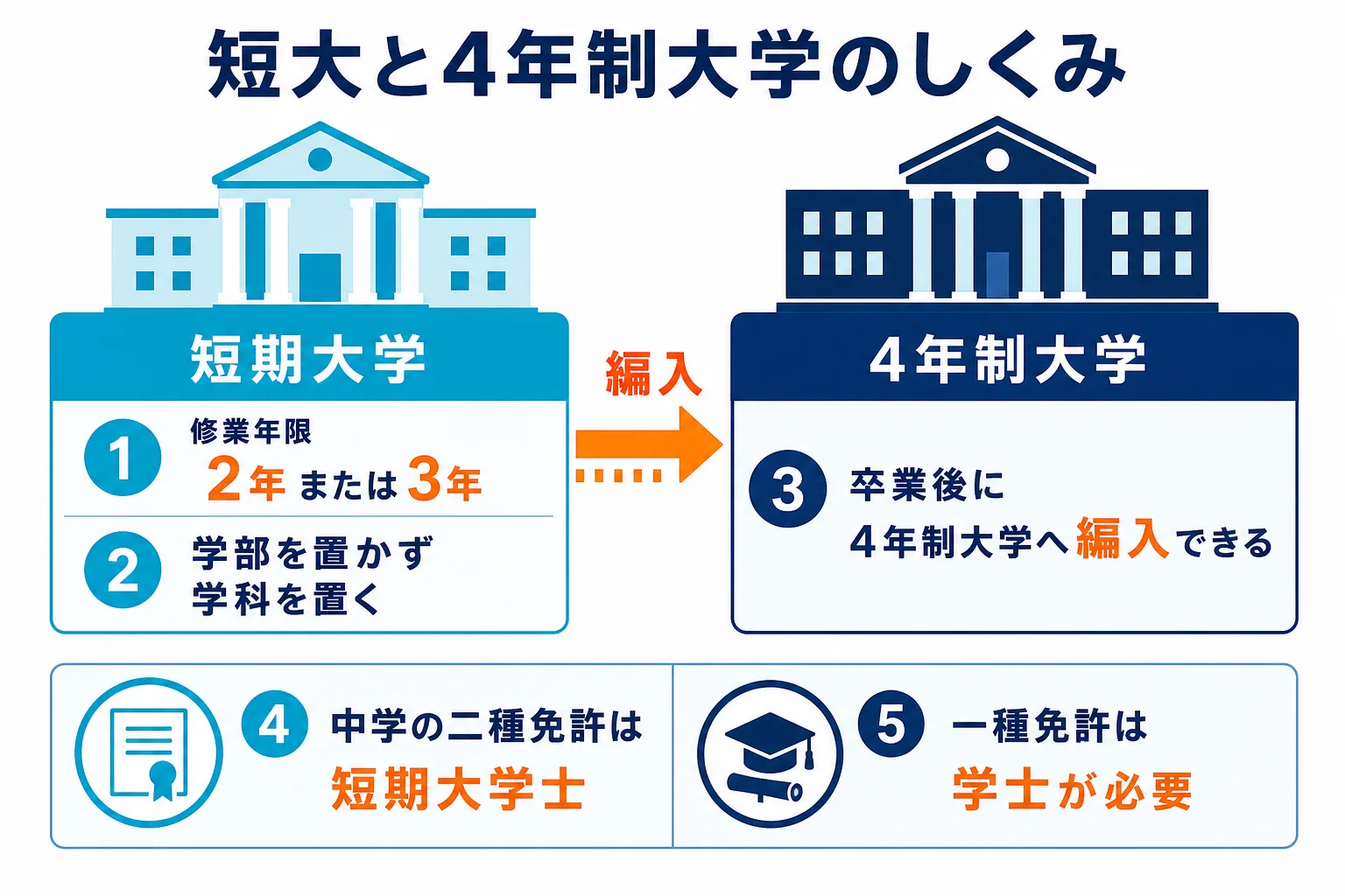 短期大学には学部が無く学科を置くことと、4年制大学への編入や教員免許の違いを並べた図解